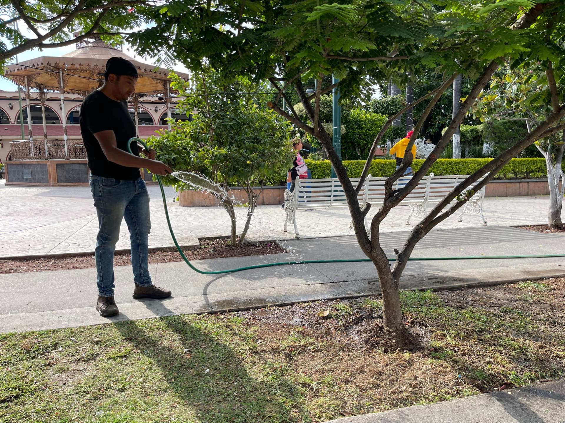 Conservamos 55,481 M² semanales de áreas verdes en vialidades