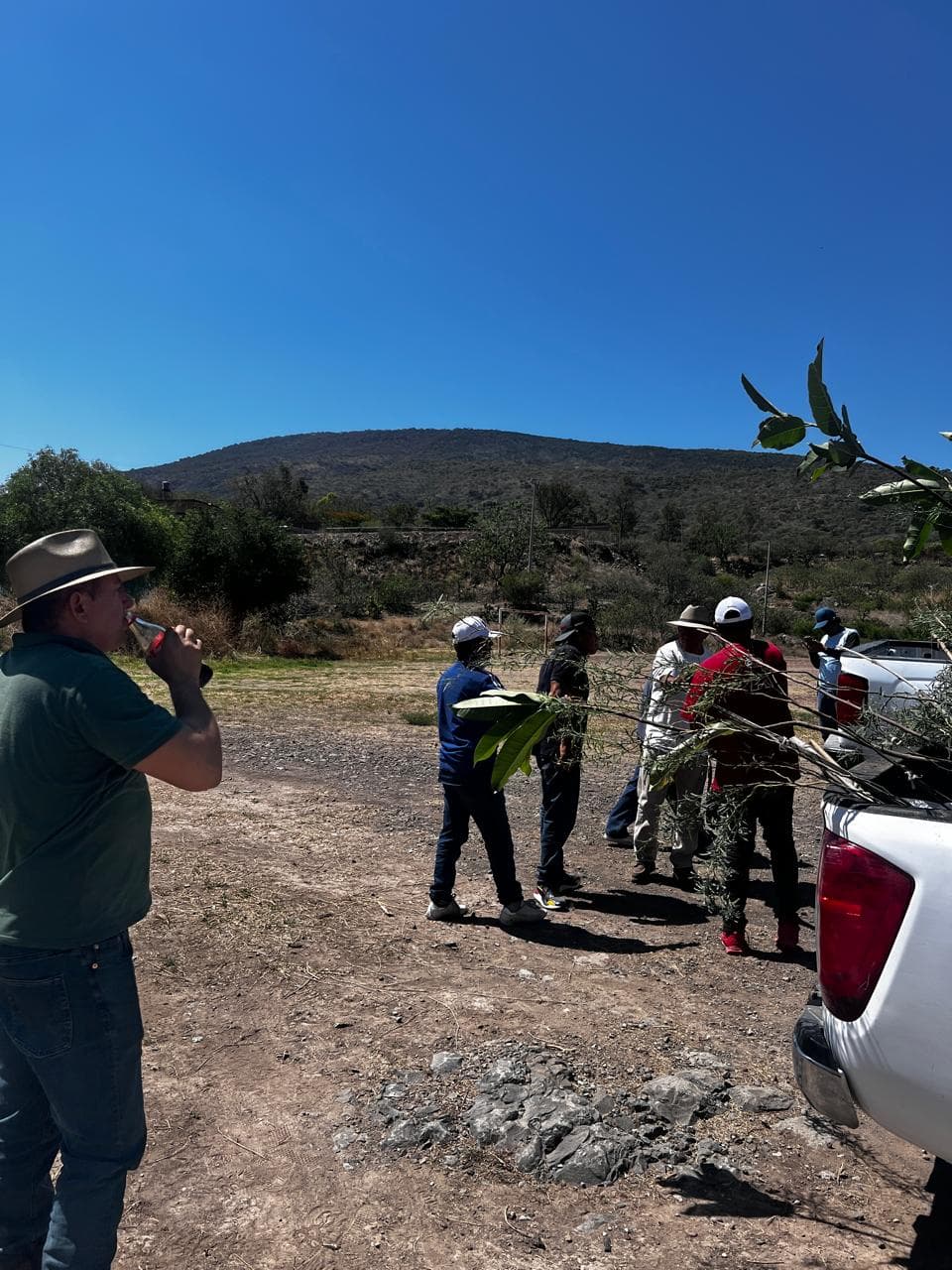 Plantamos 150 árboles en el campo de futbol de Presa Corona