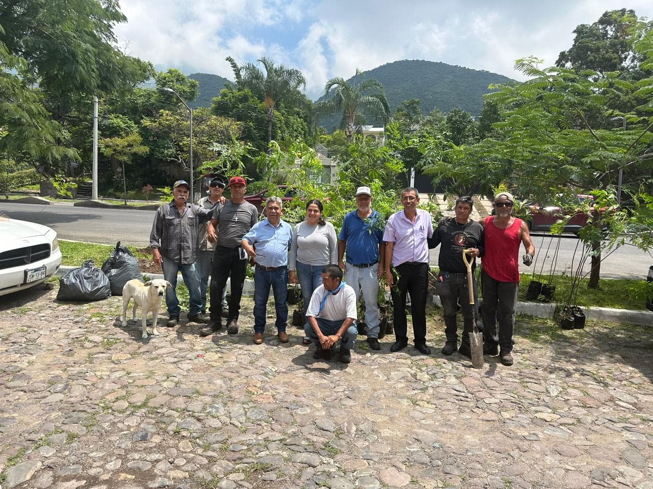 Impulsamos la campaña de reforestación y adopción de árboles